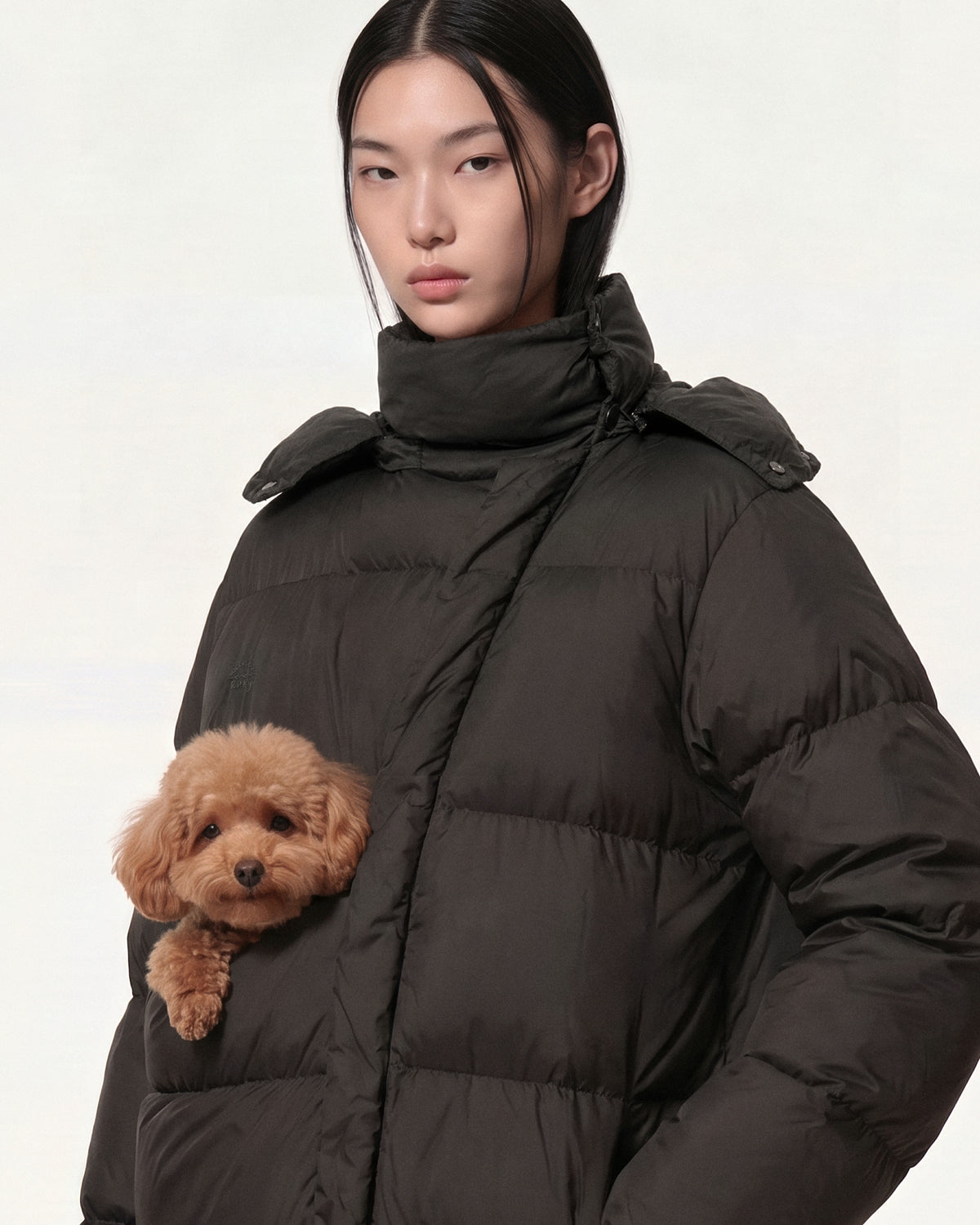 wearable pet carrier: black puffer jacket with pet pouch