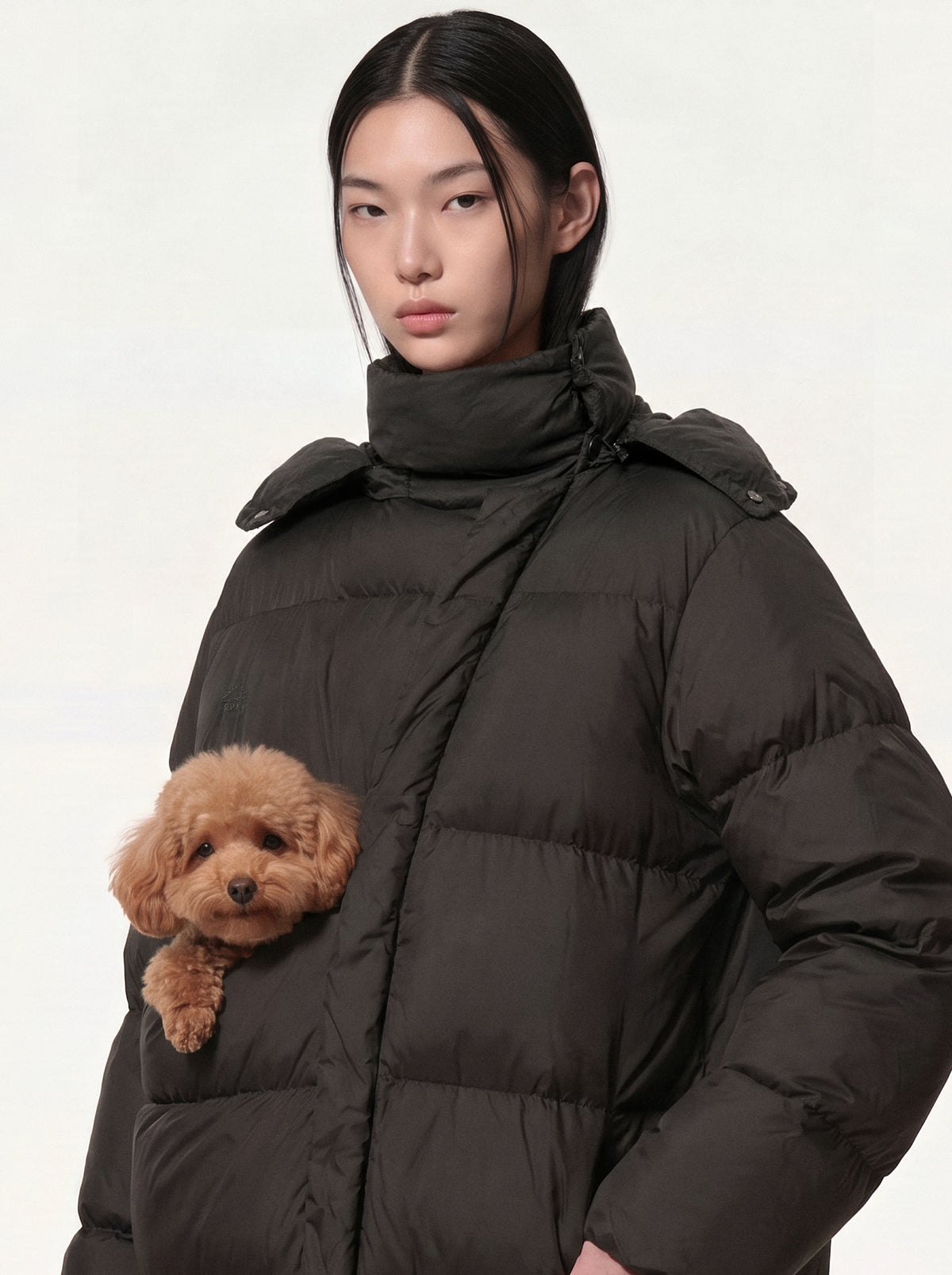 wearable pet carrier: black puffer jacket with pet pouch