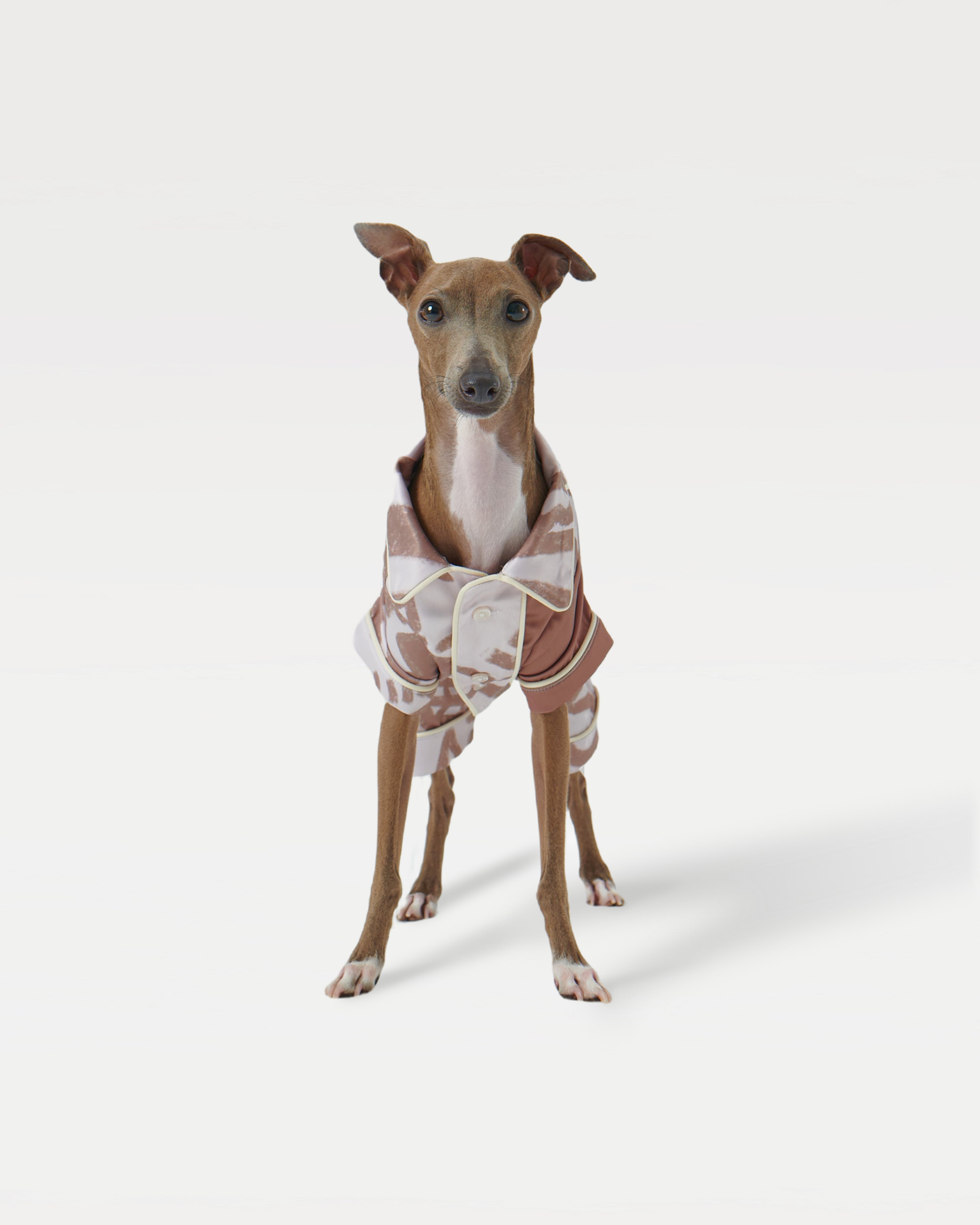 A dog standing in a pajama shirt