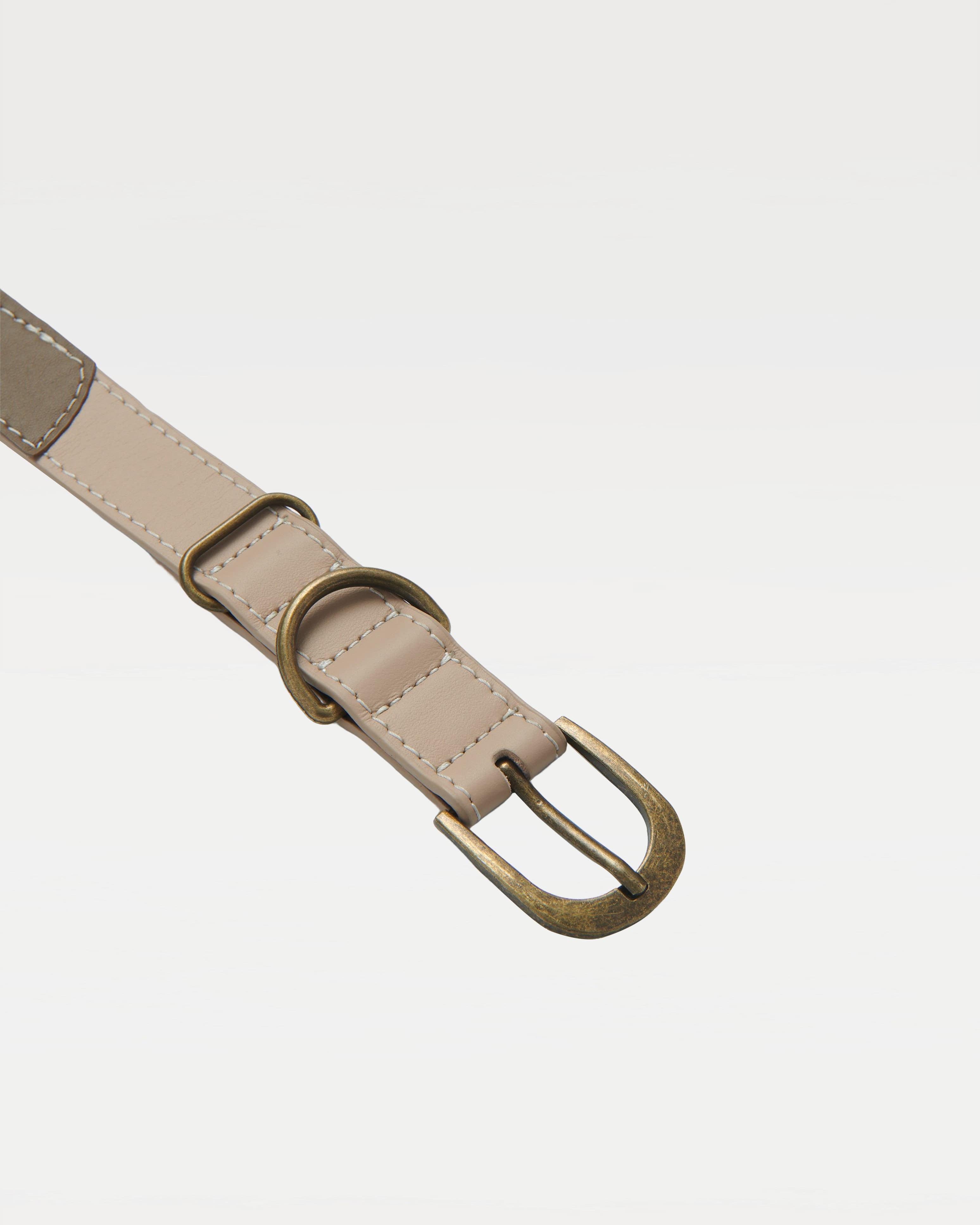 belt buckle of a collar