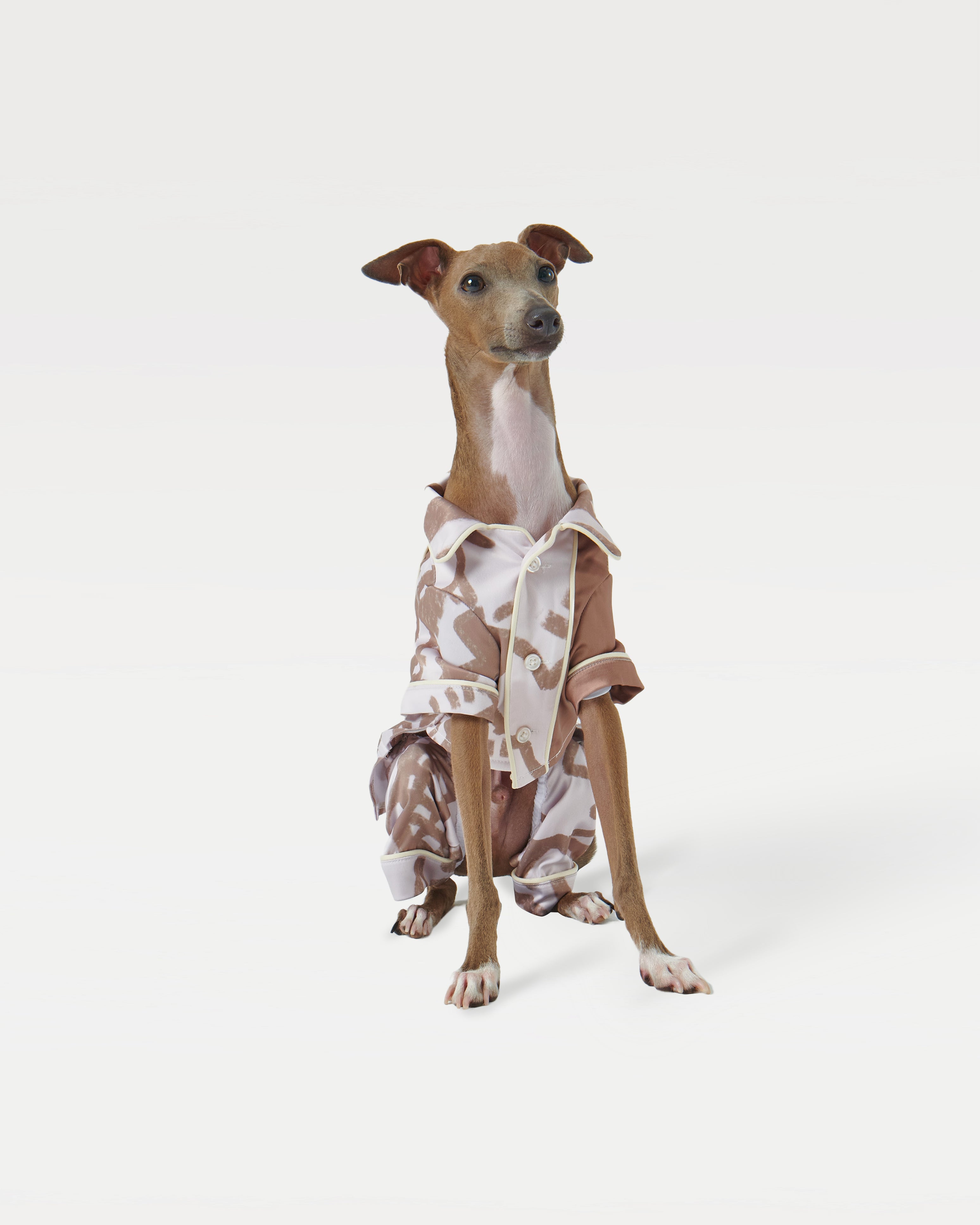 A dog wearing a pajama shirt sits.