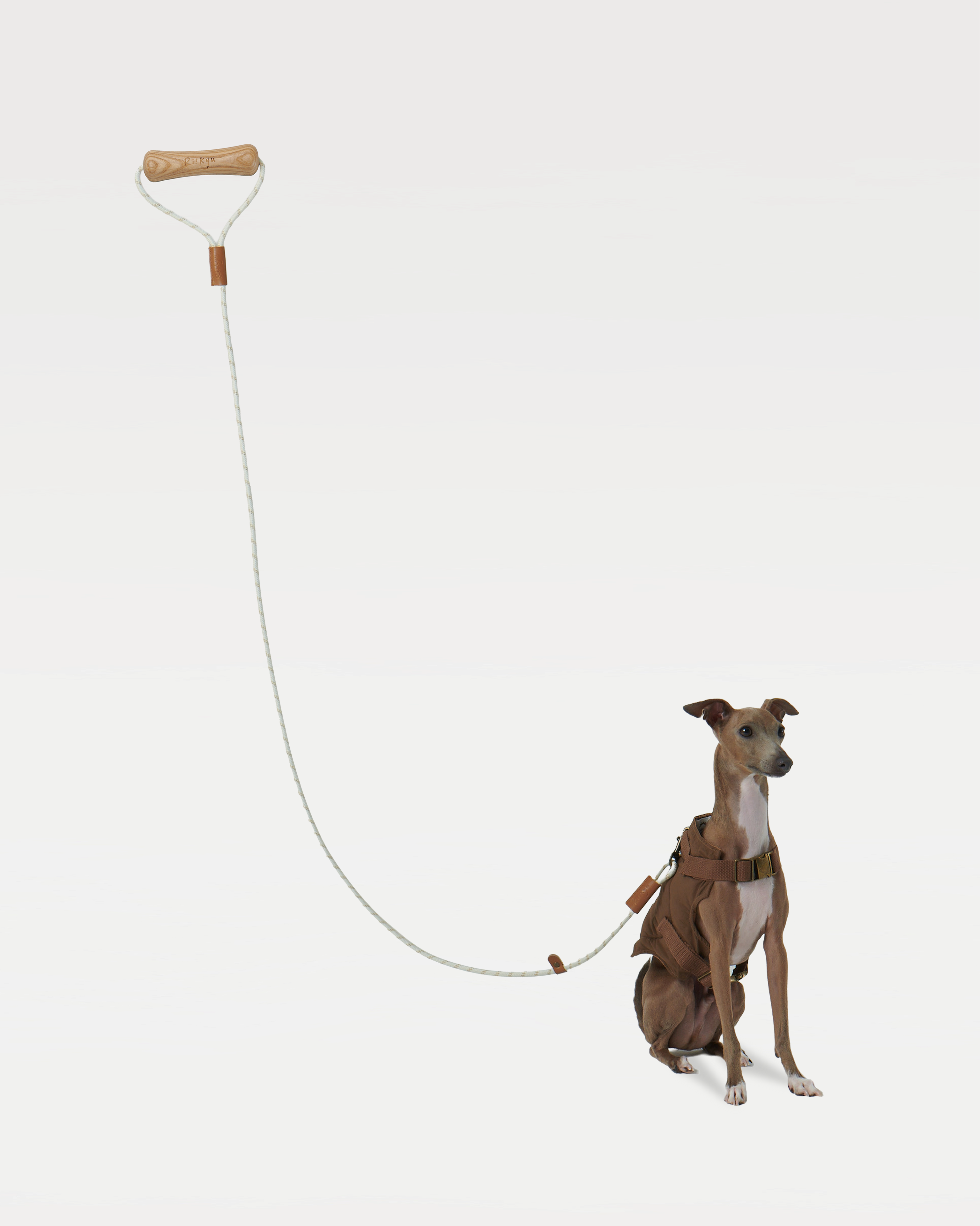 A dog in a brown vest sits and is led by a leash with a handle in the shape of a dog bone