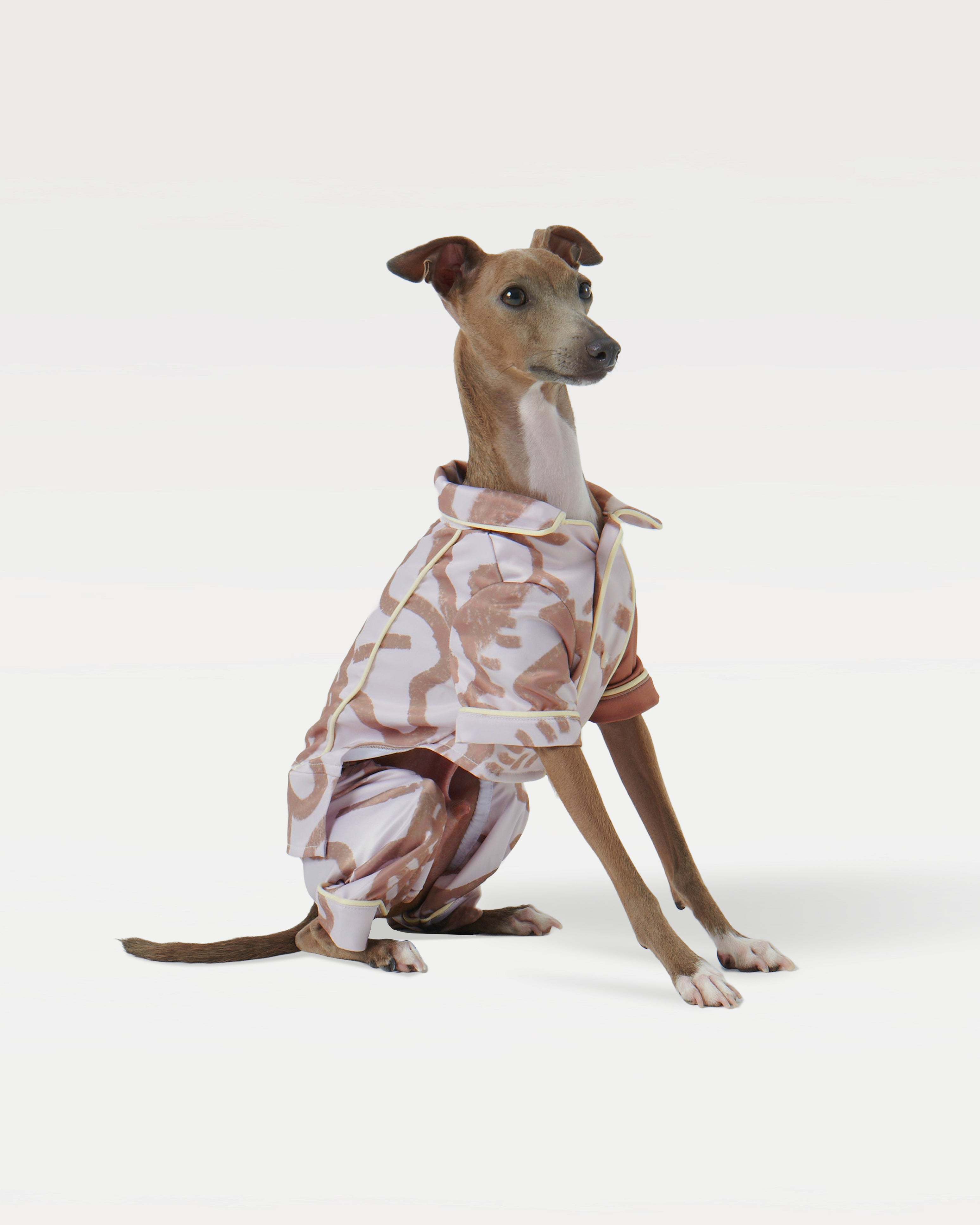 A dog wearing a pajama shirt sits facing to the right
