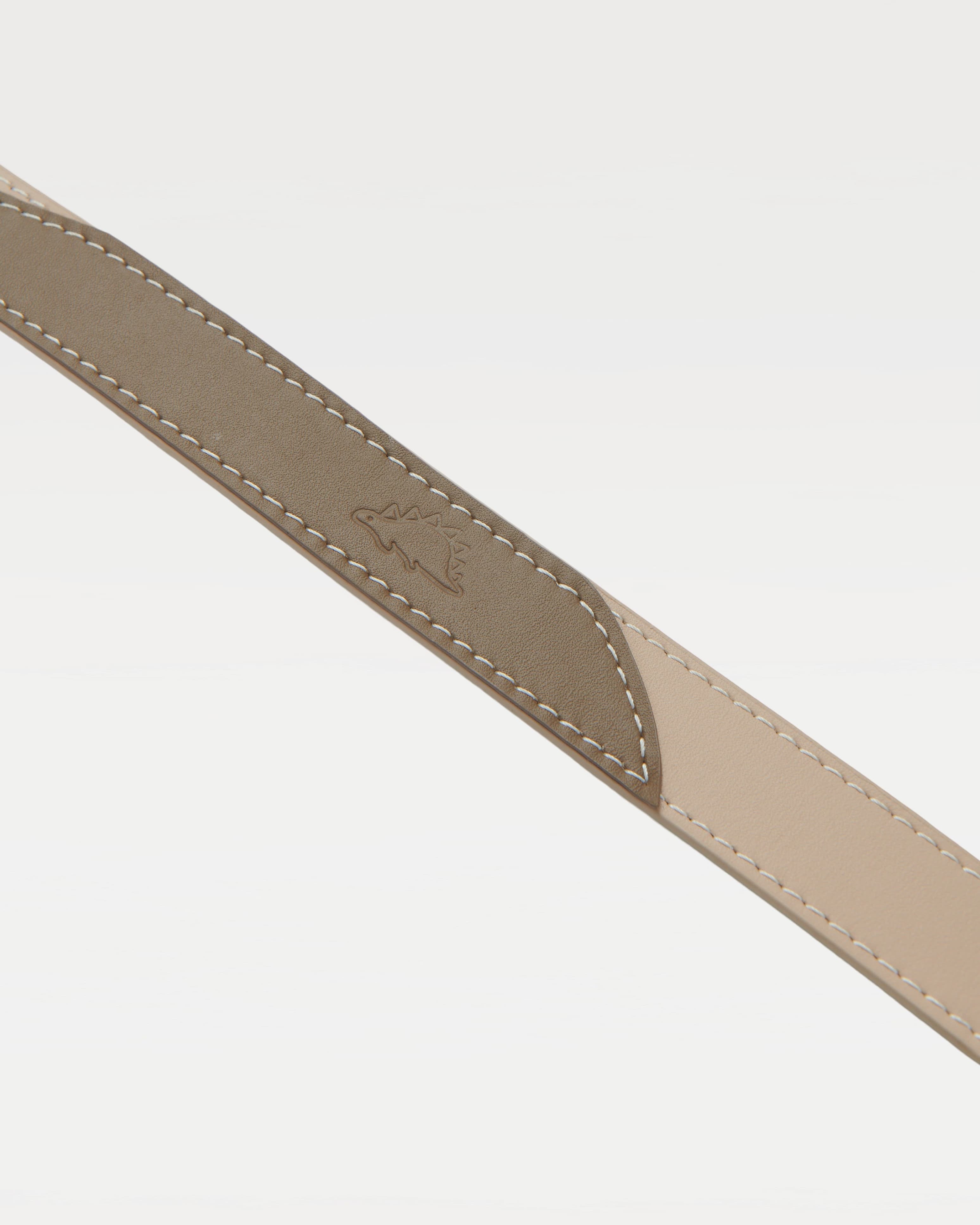 A color-blocked collar