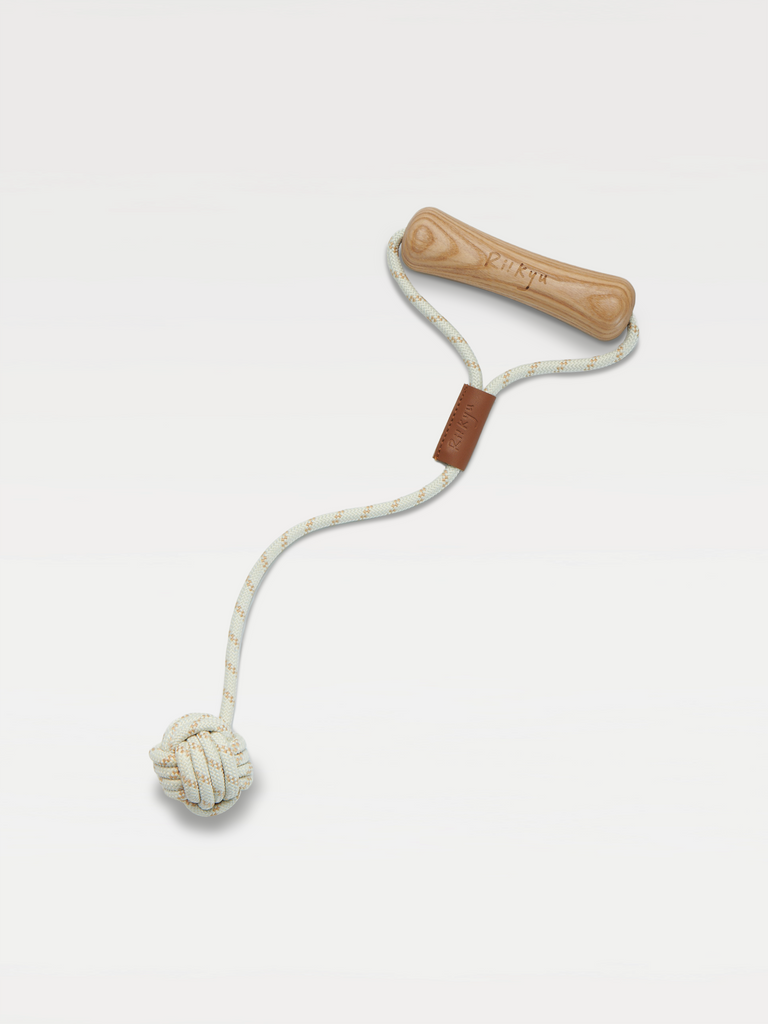 A dog toy with dog-bone-shaped handle and a ball