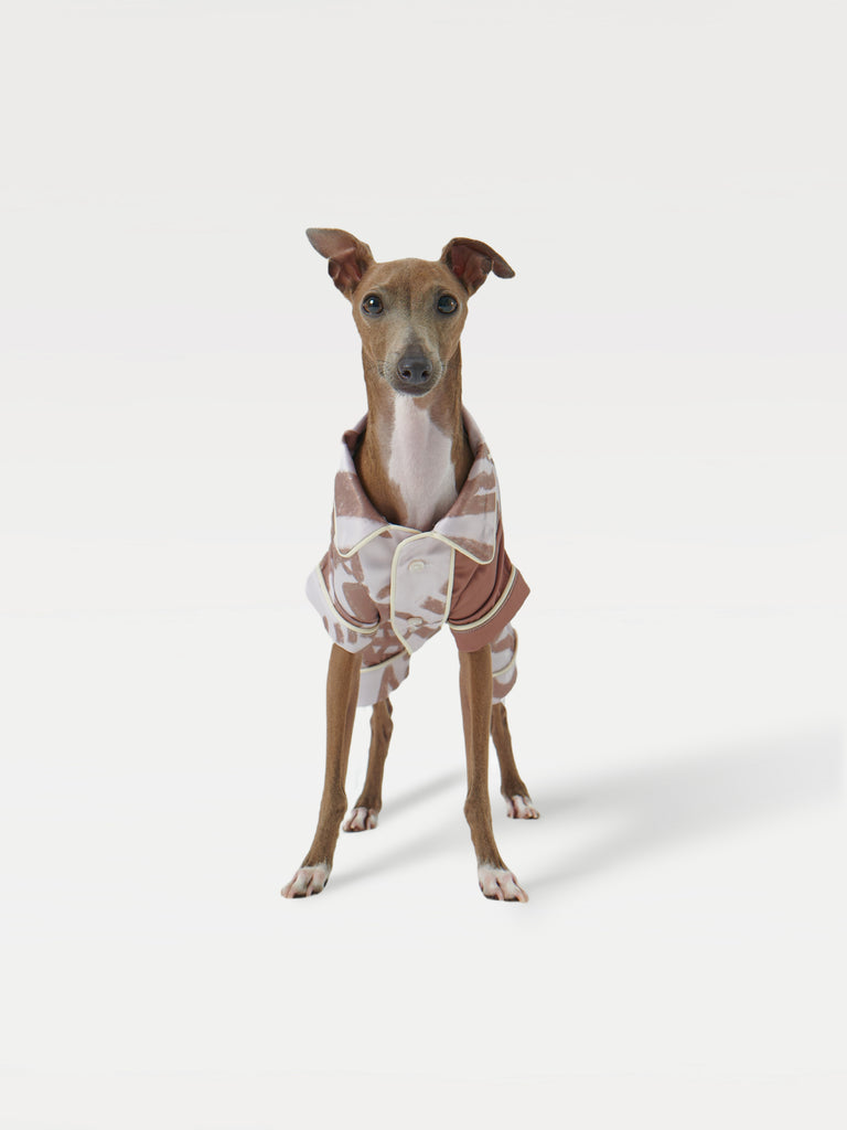 A dog standing in a pajama shirt