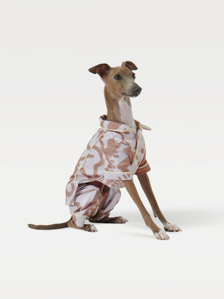 A dog wearing a pajama shirt sits facing to the right
